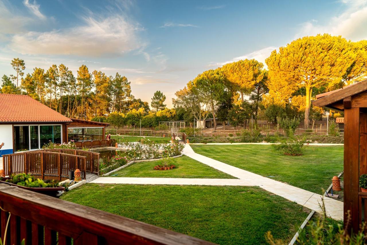 Quinta Do Cutato - Beatriz Guest House - Sotao Santo Estevao  Exteriér fotografie
